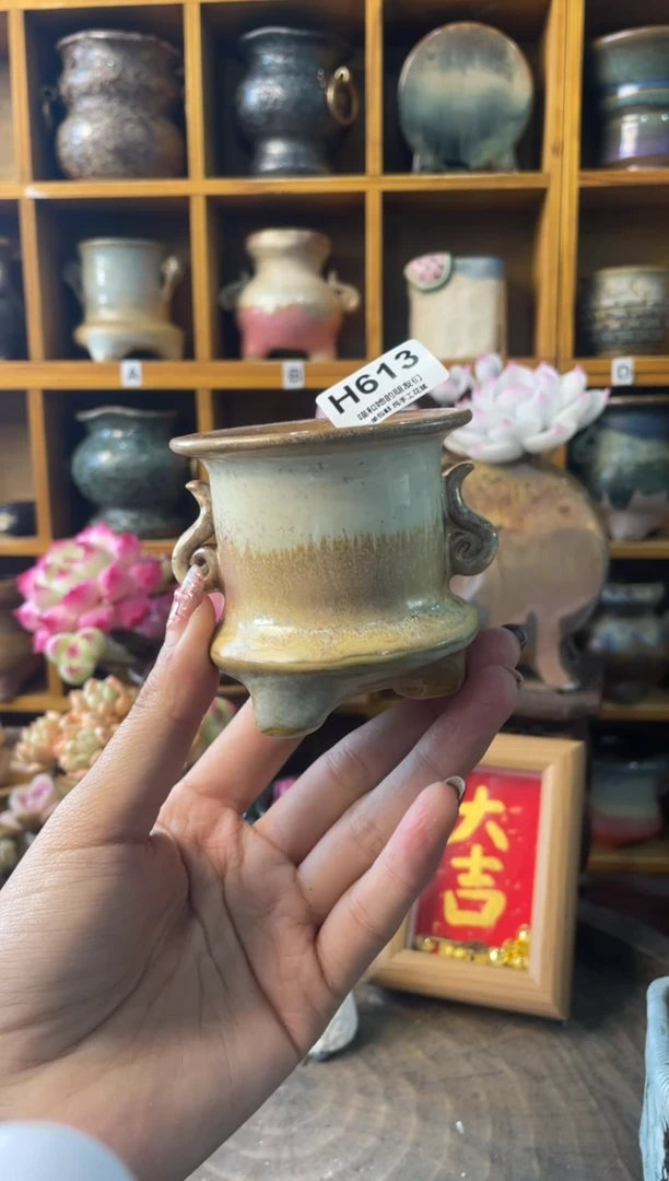 613内口6【多肉花盆多肉盆】