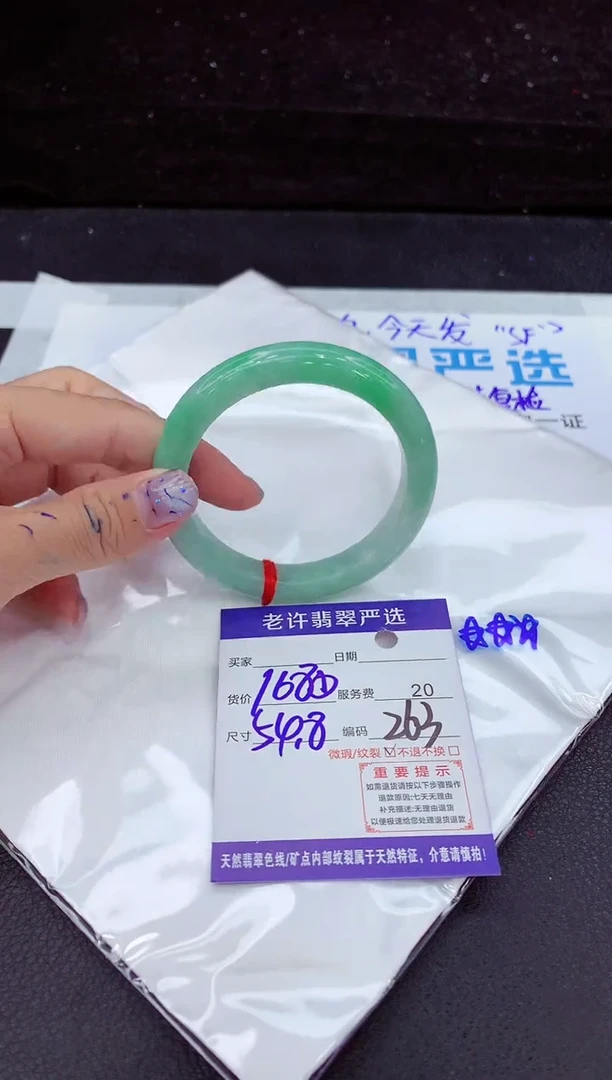 未镶嵌手镯翡翠1