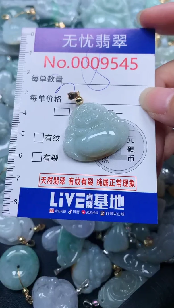 颈饰未镶嵌翡翠9545