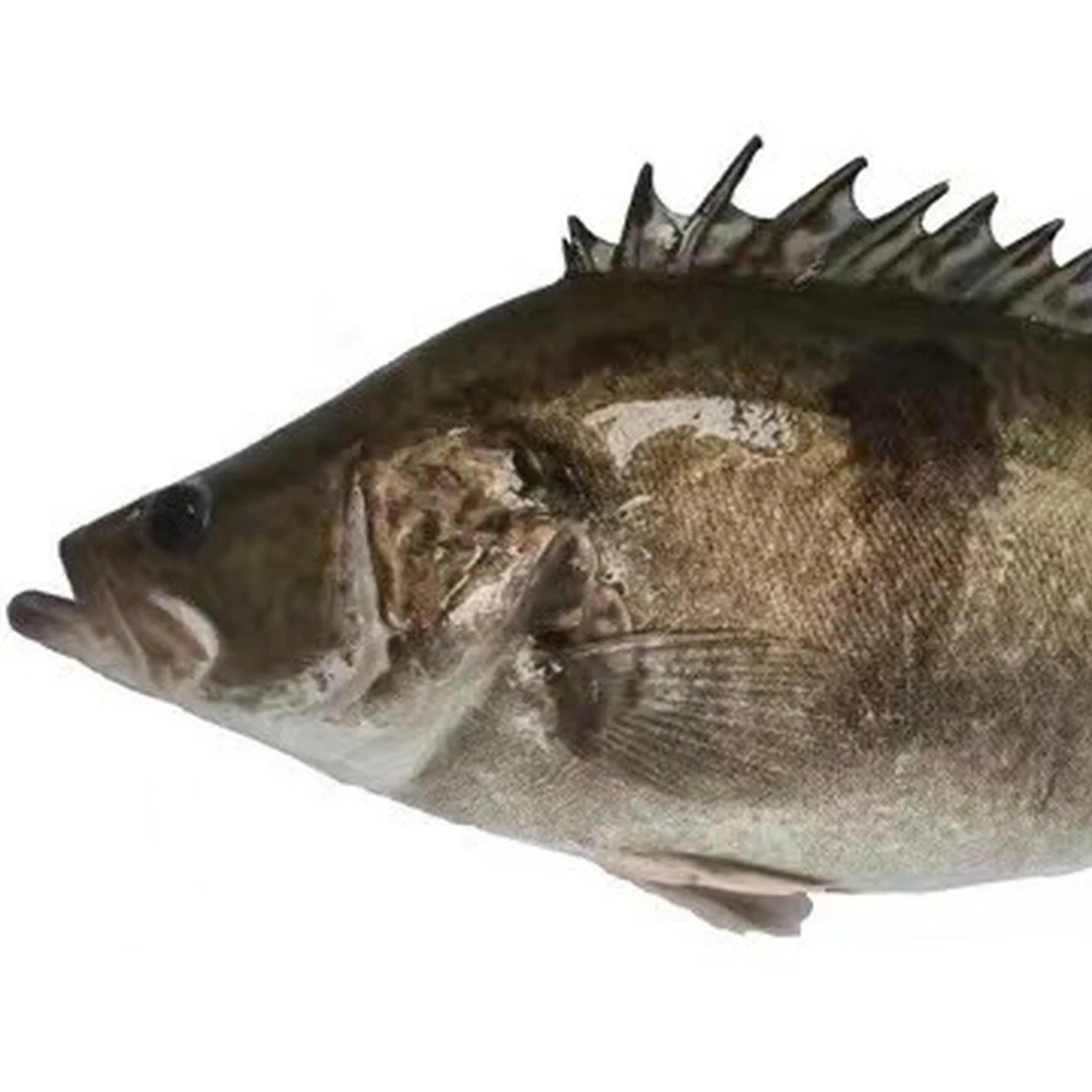 鲜活鳜鱼（650g/条）