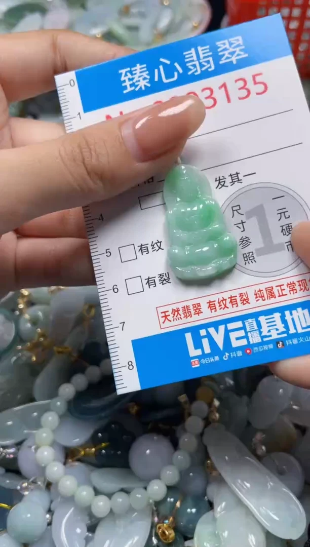 颈饰未镶嵌翡翠3135