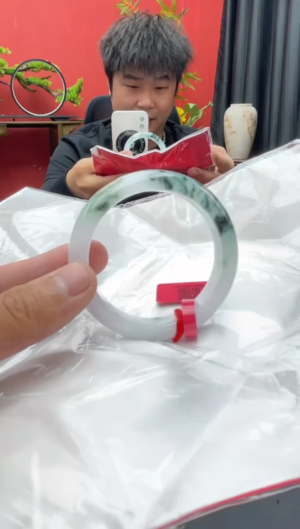 未镶嵌手镯翡翠5