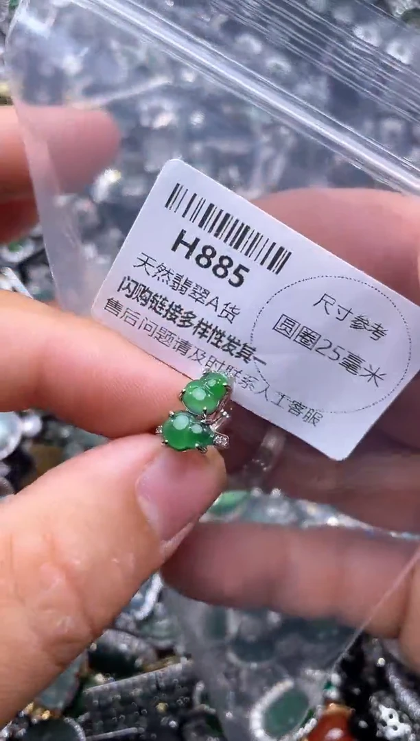 【闪购商品】翡翠颈饰未镶嵌H885耳扣