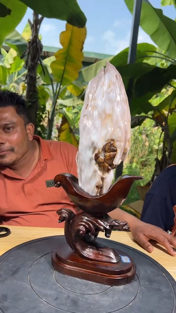 【闪购商品】硅化玉珠宝奇石未镶嵌拍一发一