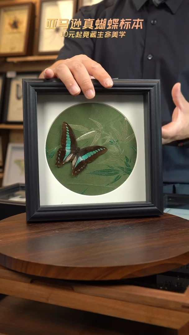 青凤蝶竹子布料底新版本7方