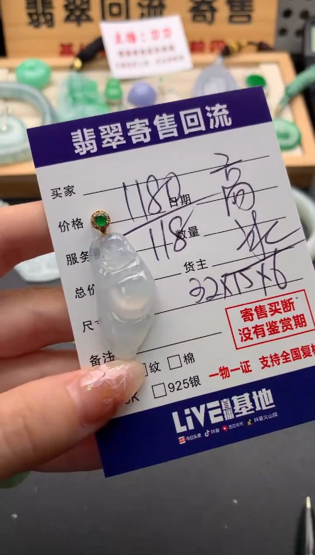 翡翠18K金镶嵌颈饰10134873