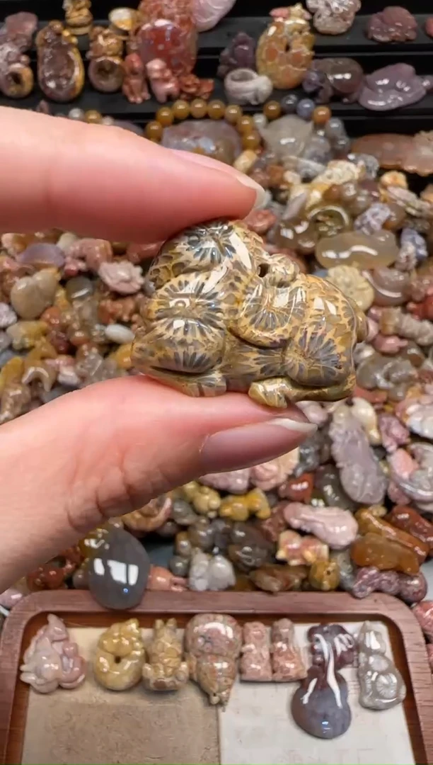 颈饰未镶嵌硅化珊瑚（珊瑚玉）867