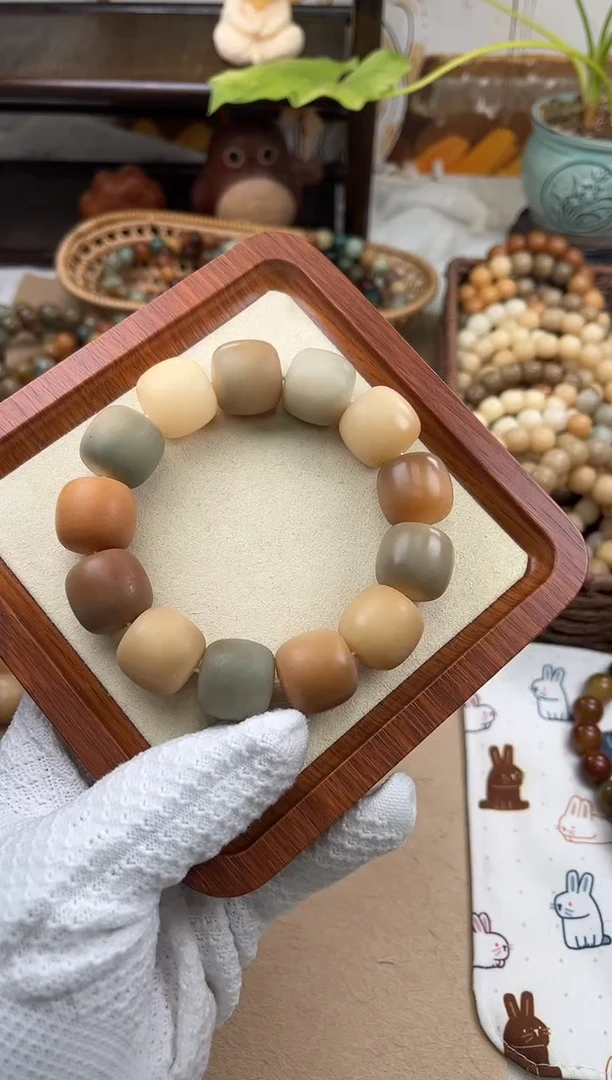 手串菩提根/象牙果a173卡20 干磨微瑕