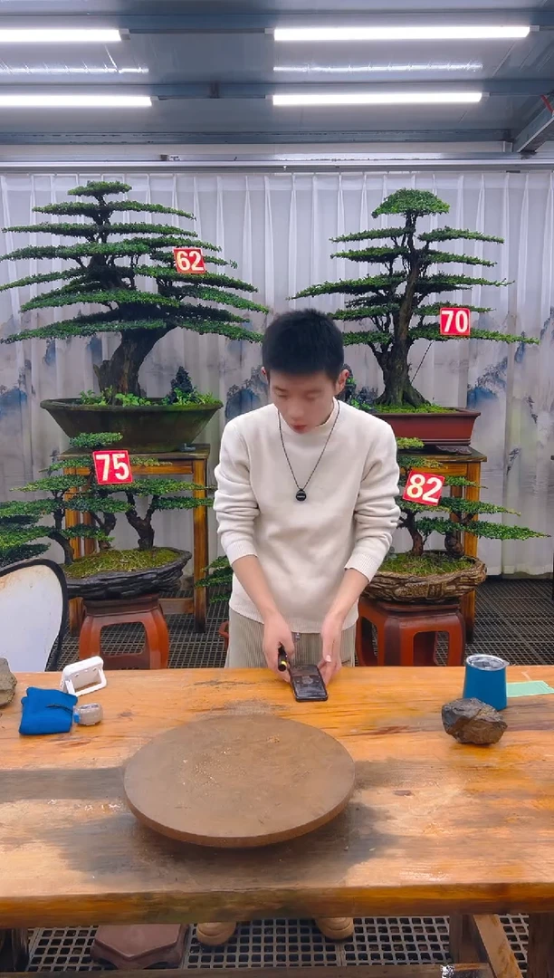 无花朵大****8精品盆景直播间一物一拍