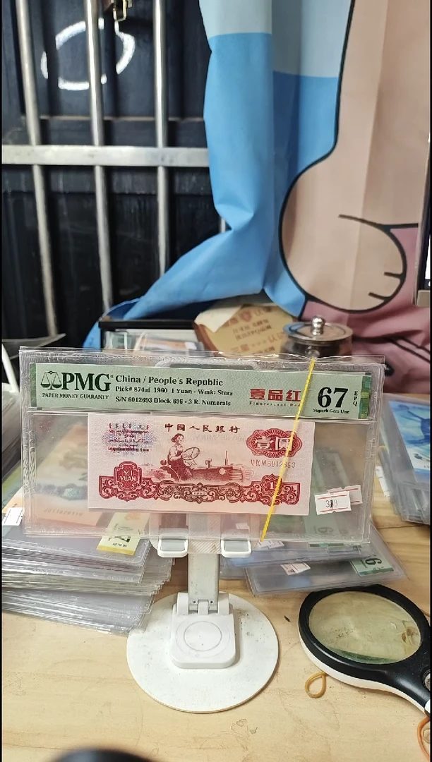 一品红67分无47！！！！！