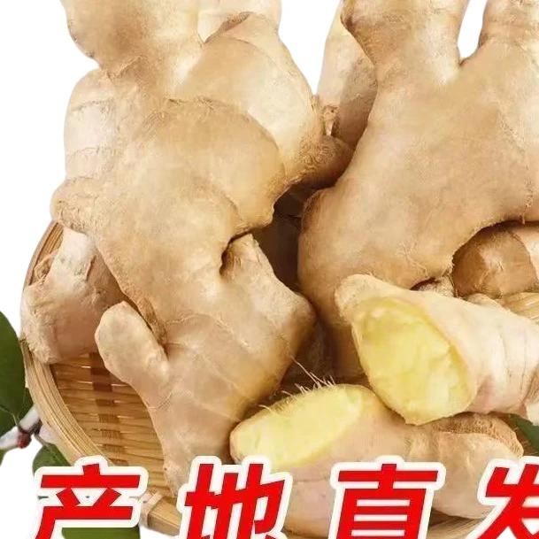 新鲜辣姜约200~250g