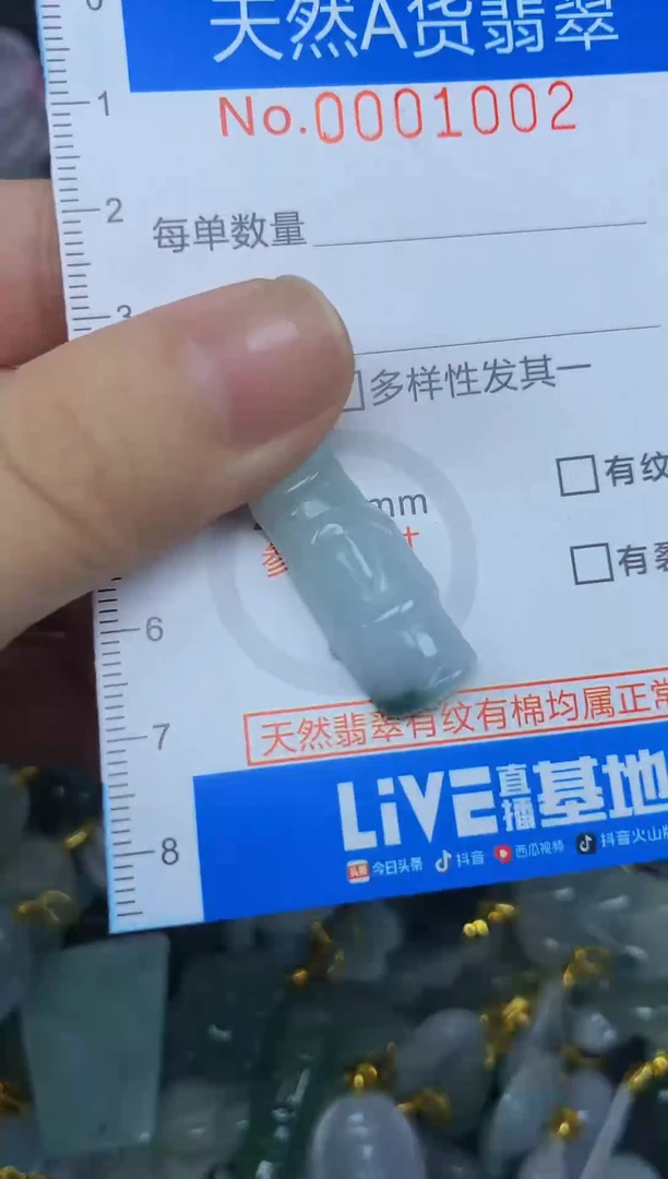 颈饰未镶嵌翡翠净货挂件-1002