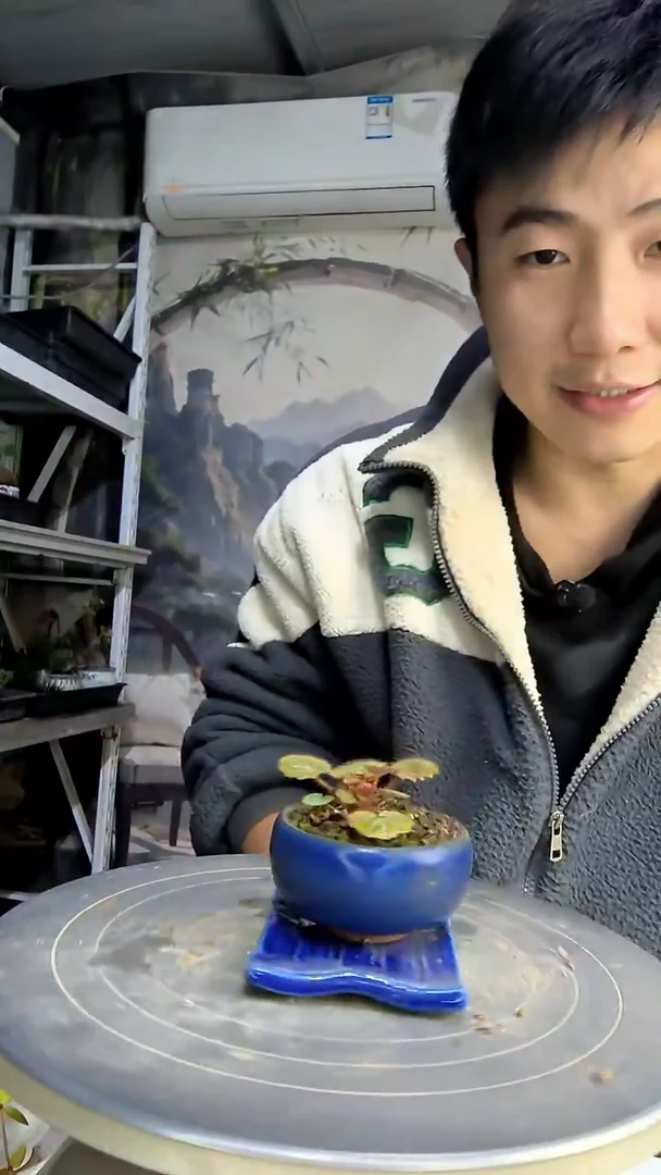 海**涯中青园艺一物一拍39