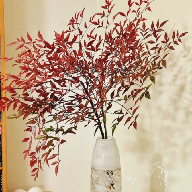 【新疆花之溪】南天竹干花一把