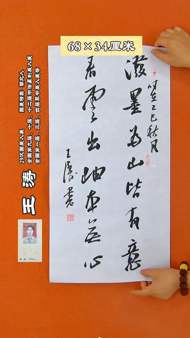 书法20R王涛书法作品
