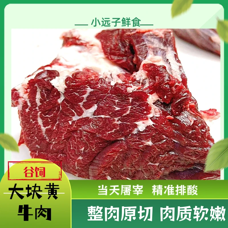 【谷饲大块黄牛肉】 5斤全牛整切不挑部位 冷链鲜冻 肥瘦带筋
