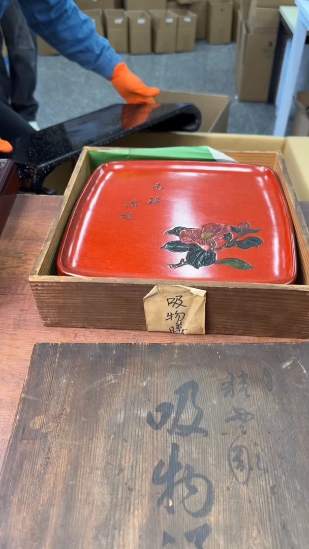 【闪购商品】仰望生活的光呀呀