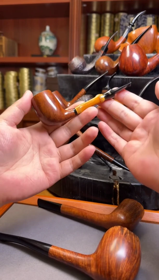 l*子龙直播间 史丹威金冠竹节