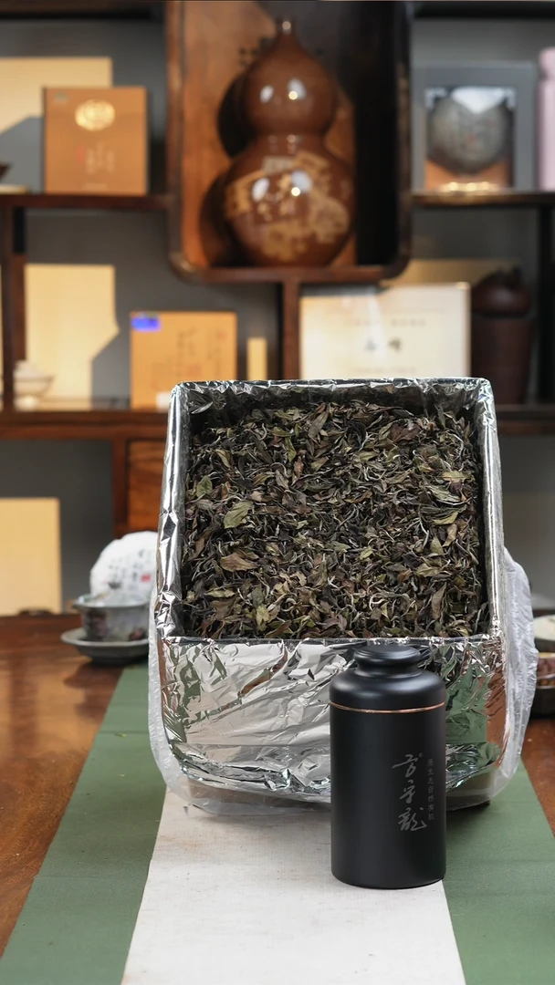 瓷片于老师福利分享大树-70g