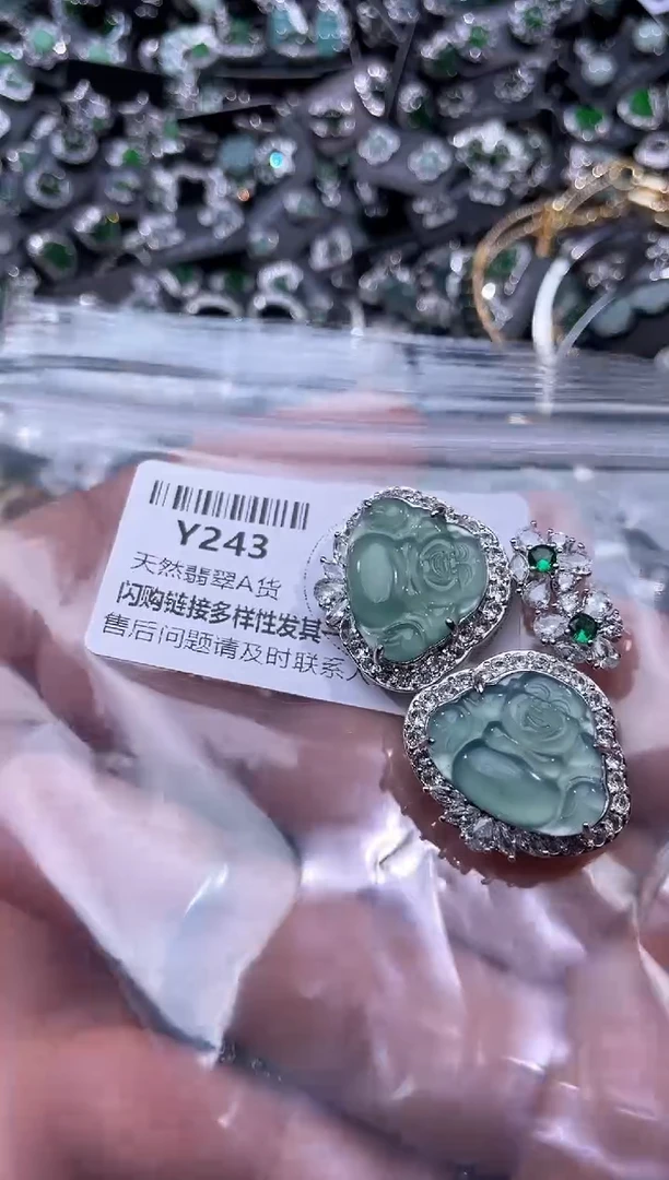 【闪购商品】翡翠颈饰未镶嵌Y243多样性发其一