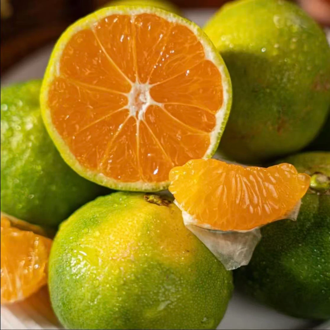 【次日达】云南蜜桔蜜橘青皮当季新鲜现货青皮无籽水果酸甜橘云南省云南省