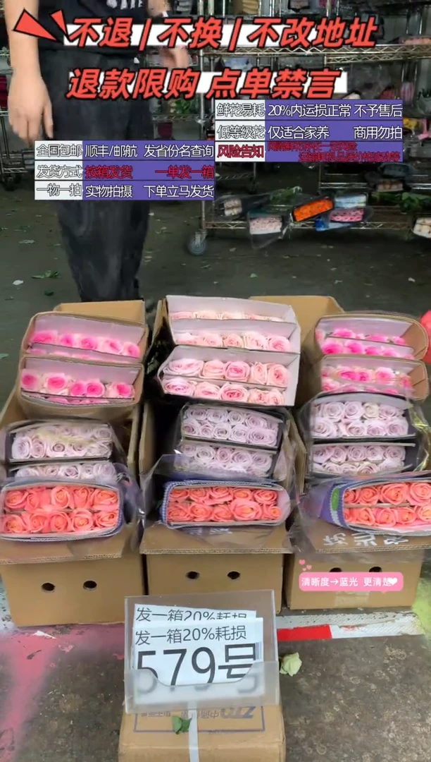 579号♥含20%耗损发一箱