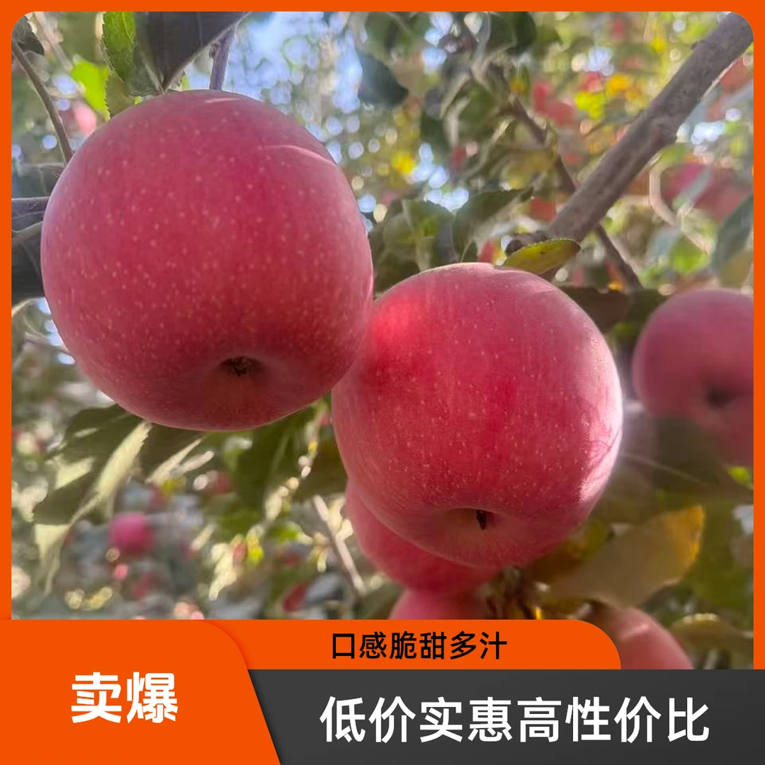 正宗冰糖心阿克苏苹果新鲜现摘当季脆甜水果