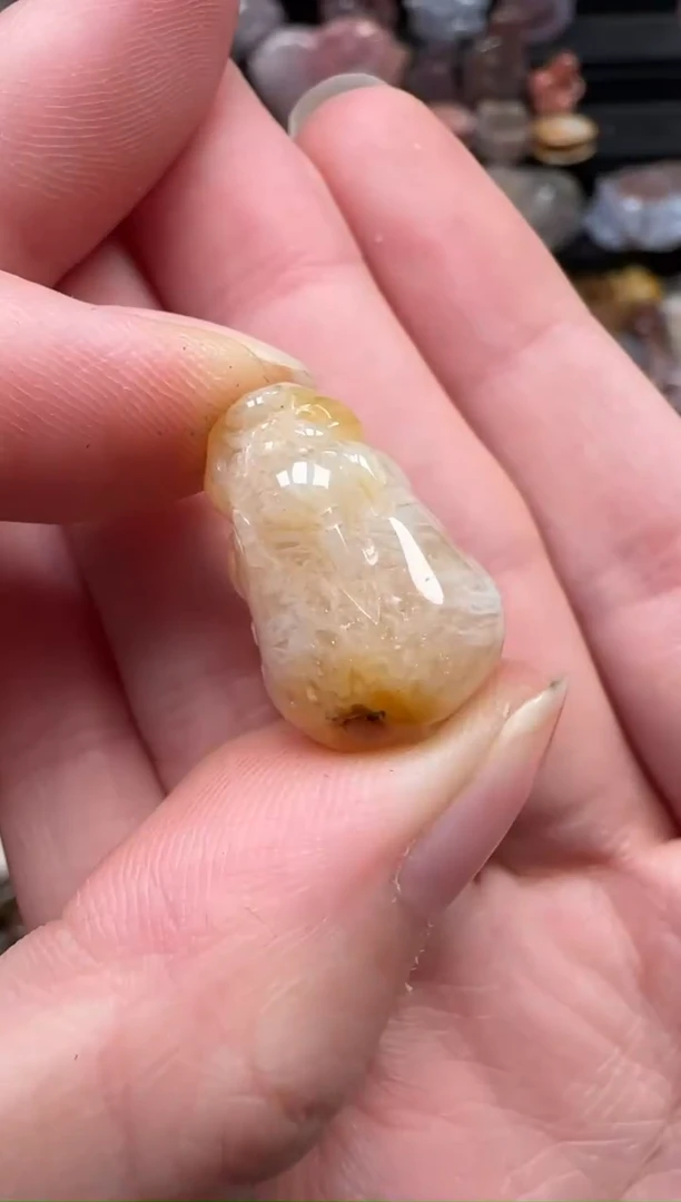 颈饰未镶嵌硅化珊瑚（珊瑚玉）515