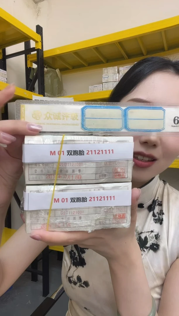 M 01 双胞胎 21121111