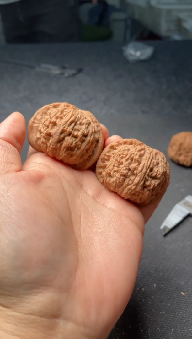 把件文玩核桃w162  白狮子 47尺