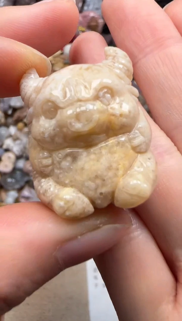 【闪购商品】硅化珊瑚（珊瑚玉）颈饰未镶嵌236