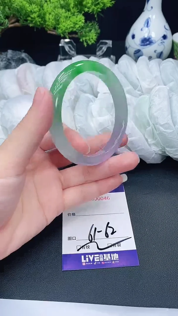未镶嵌手镯翡翠46