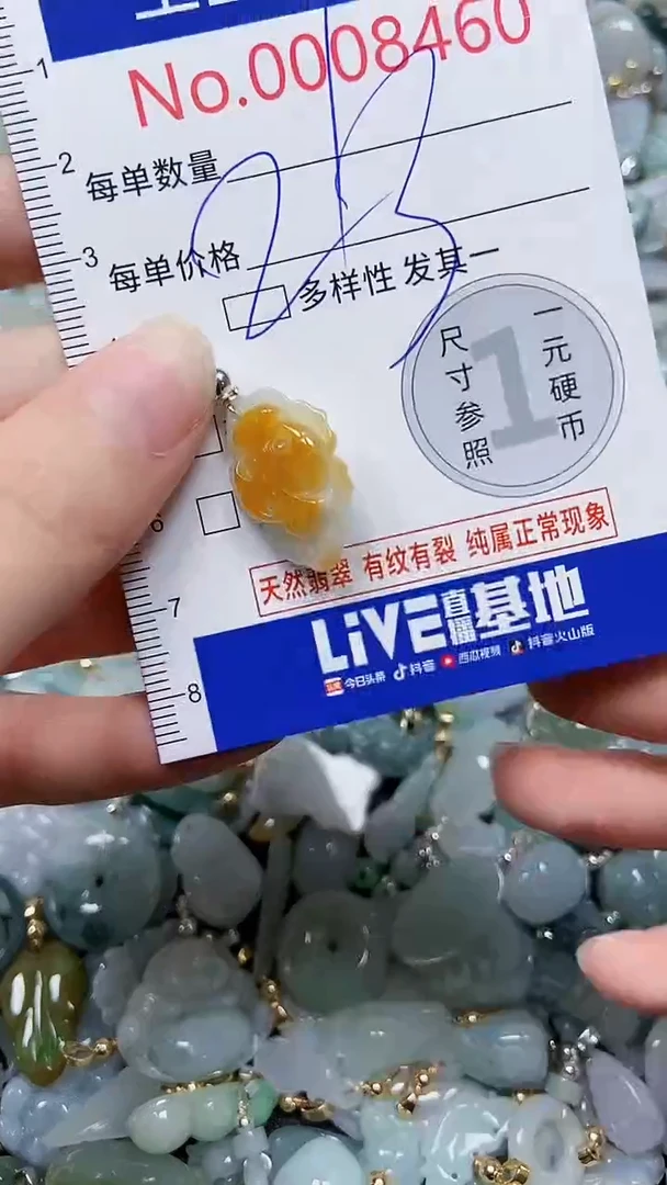 【闪购商品】翡翠颈饰未镶嵌闪购00008460