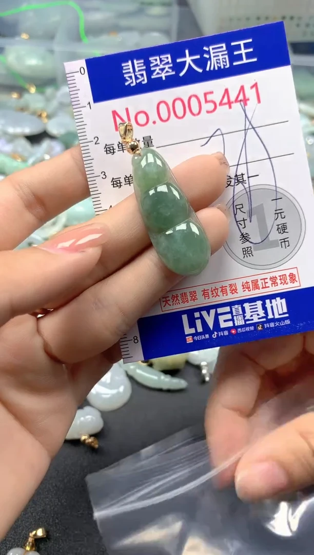 颈饰未镶嵌翡翠5441