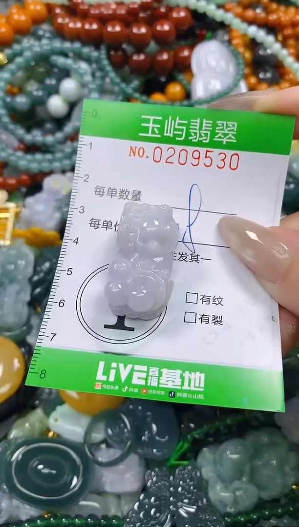 颈饰未镶嵌翡翠闪购0209530
