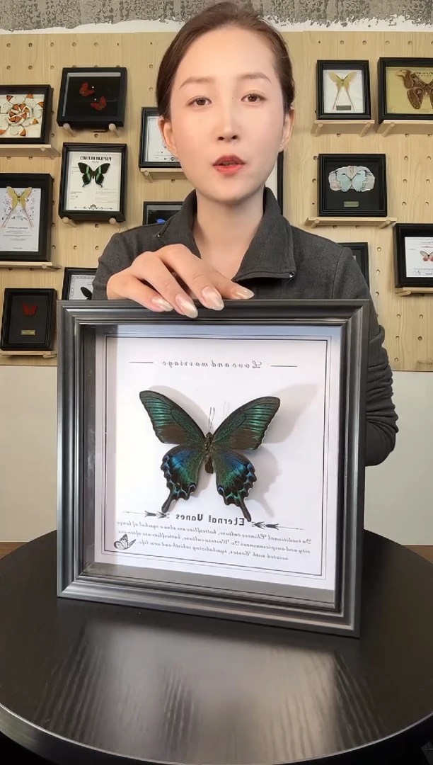 绿带翠凤蝶（蝴蝶装饰画8寸框）