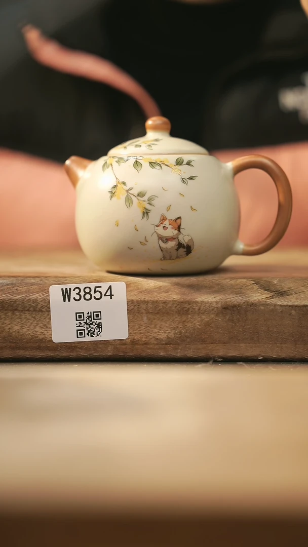 【闪购商品】【经典福利】/ 壶@@W3854