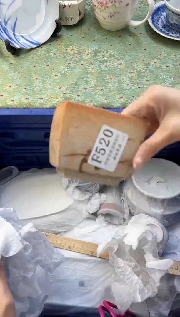 【闪购商品】瓷片          F520