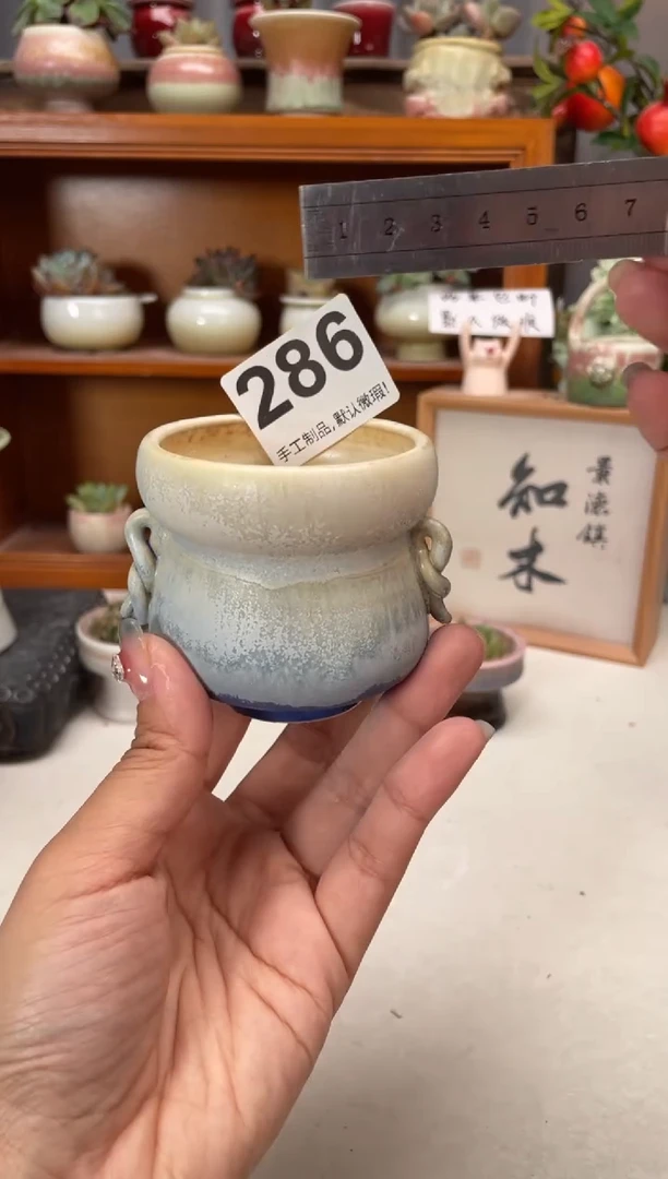 瓷片286知木小芳花盆编号