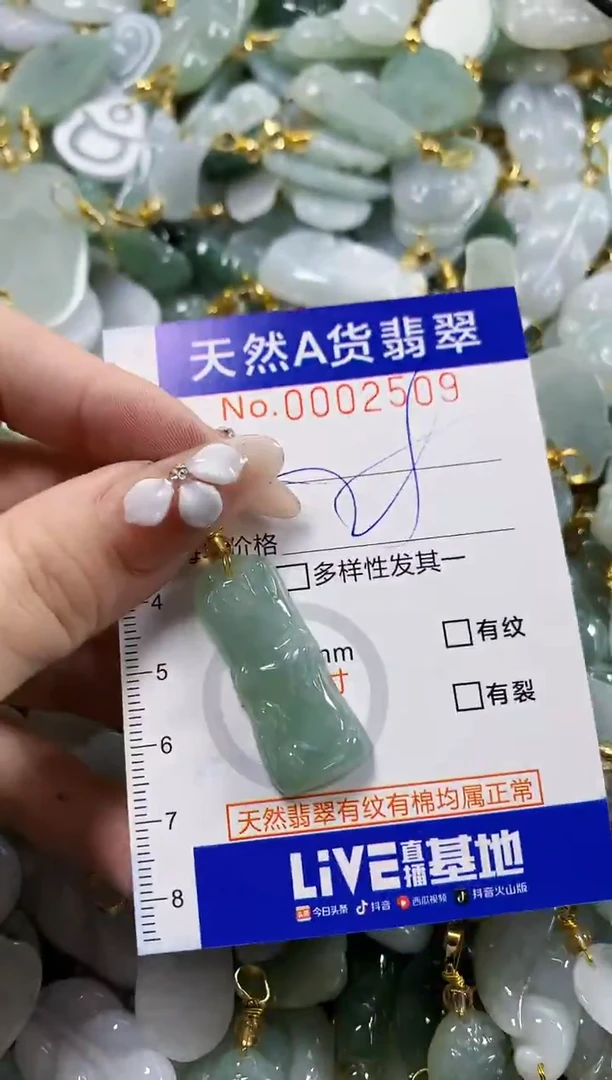 颈饰未镶嵌翡翠天然A货翡翠