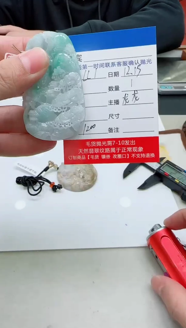 未镶嵌定制翡翠LL1翡翠吊坠-多样性发其一