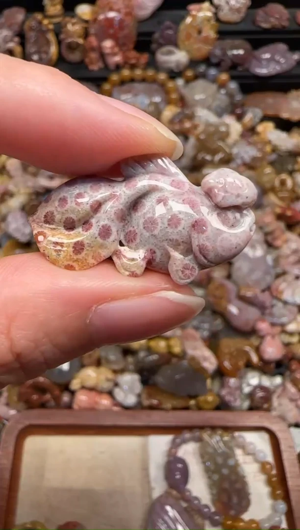 颈饰未镶嵌硅化珊瑚（珊瑚玉）843