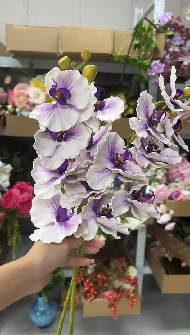 2枝紫色蝴蝶兰