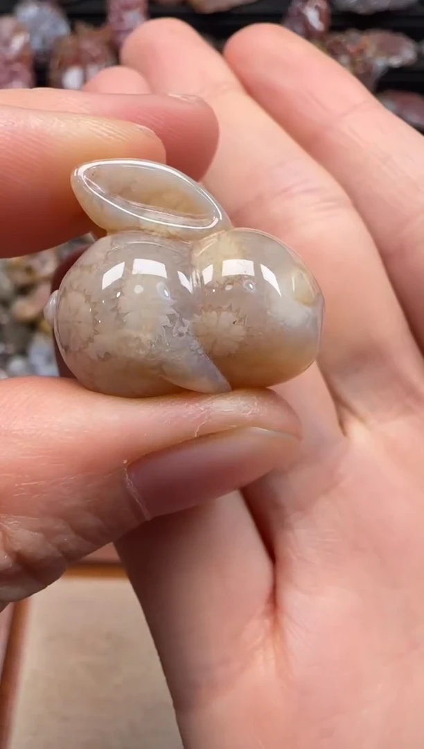 【闪购商品】硅化珊瑚（珊瑚玉）颈饰未镶嵌628