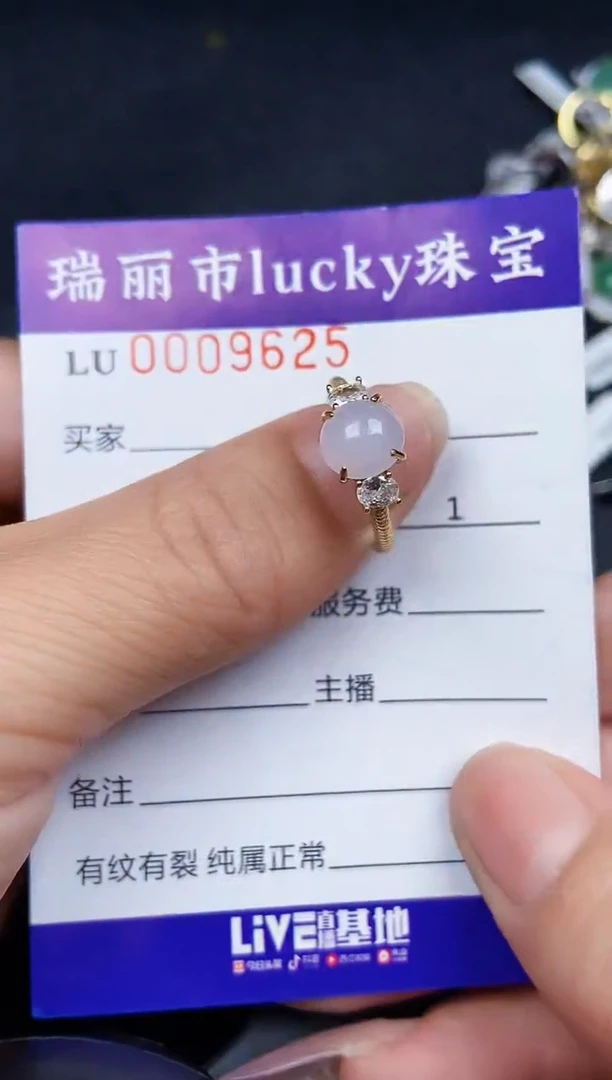 翡翠银S925镶嵌颈饰9625