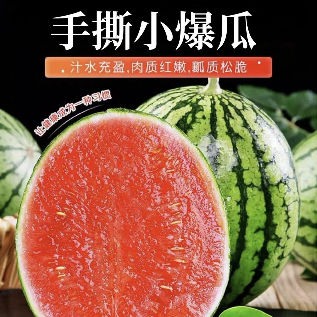 【手撕小爆瓜】云南K2小爆瓜当季爽脆清甜多汁