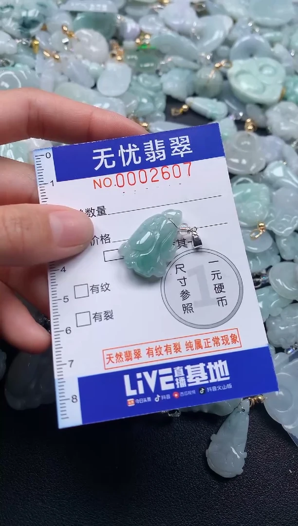 颈饰未镶嵌翡翠2608