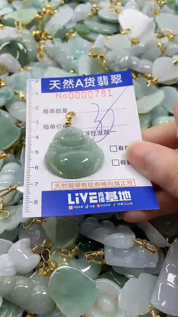 颈饰未镶嵌翡翠纯天然a货翡翠