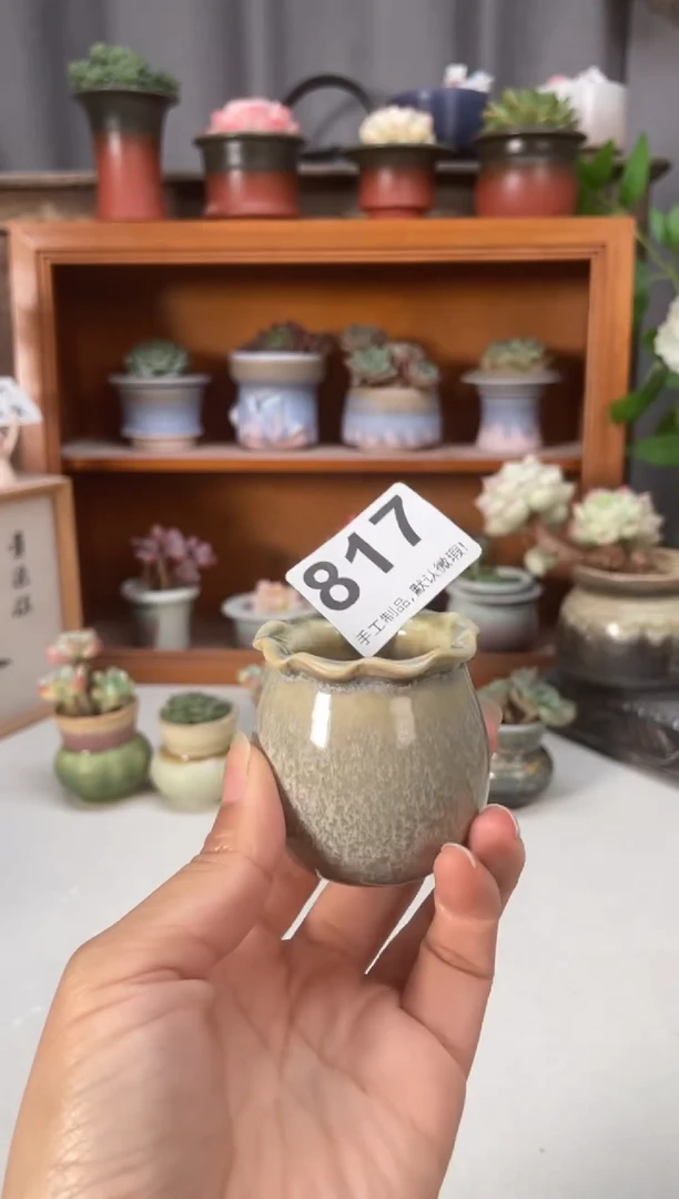 瓷片817知木小芳花盆