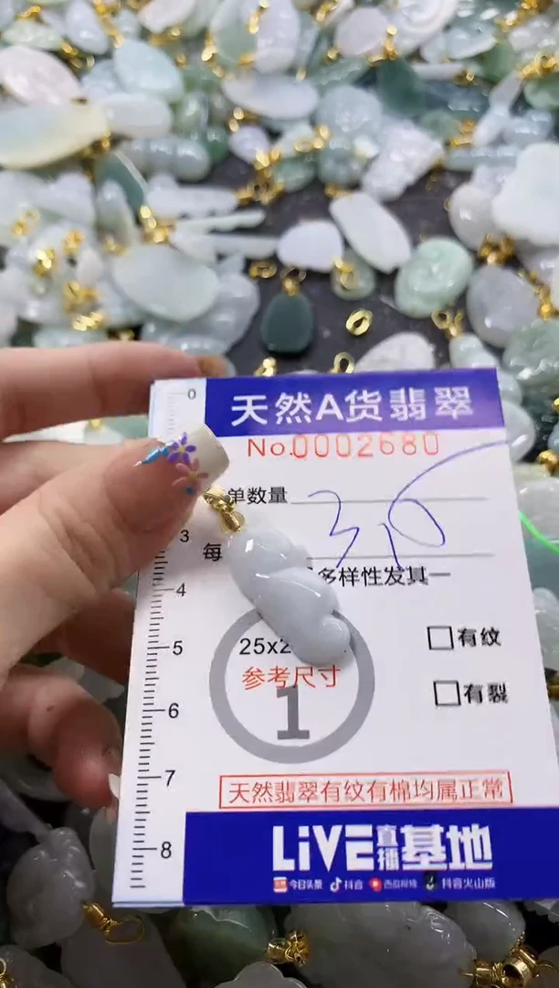 颈饰未镶嵌翡翠天然A货翡翠